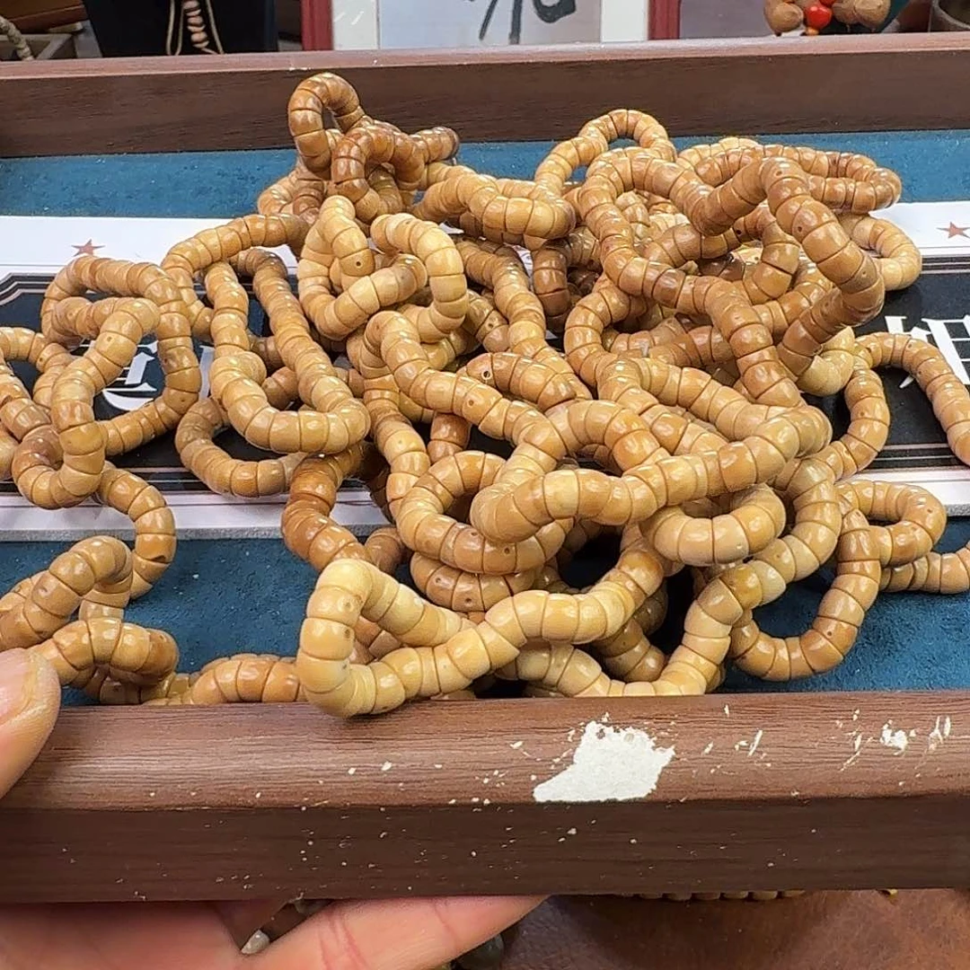 手串菩提根/象牙果龙脊菩提大肠（颗颗带月带皮）