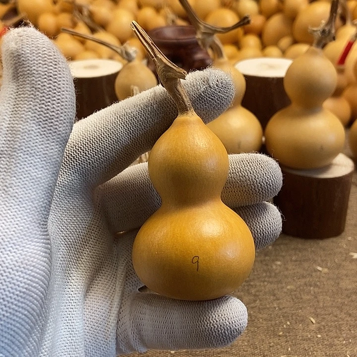 文玩葫芦 完美主义者 慎拍9