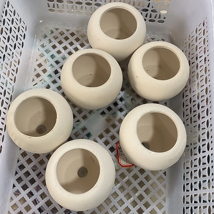 花盆抢购清货马上开始