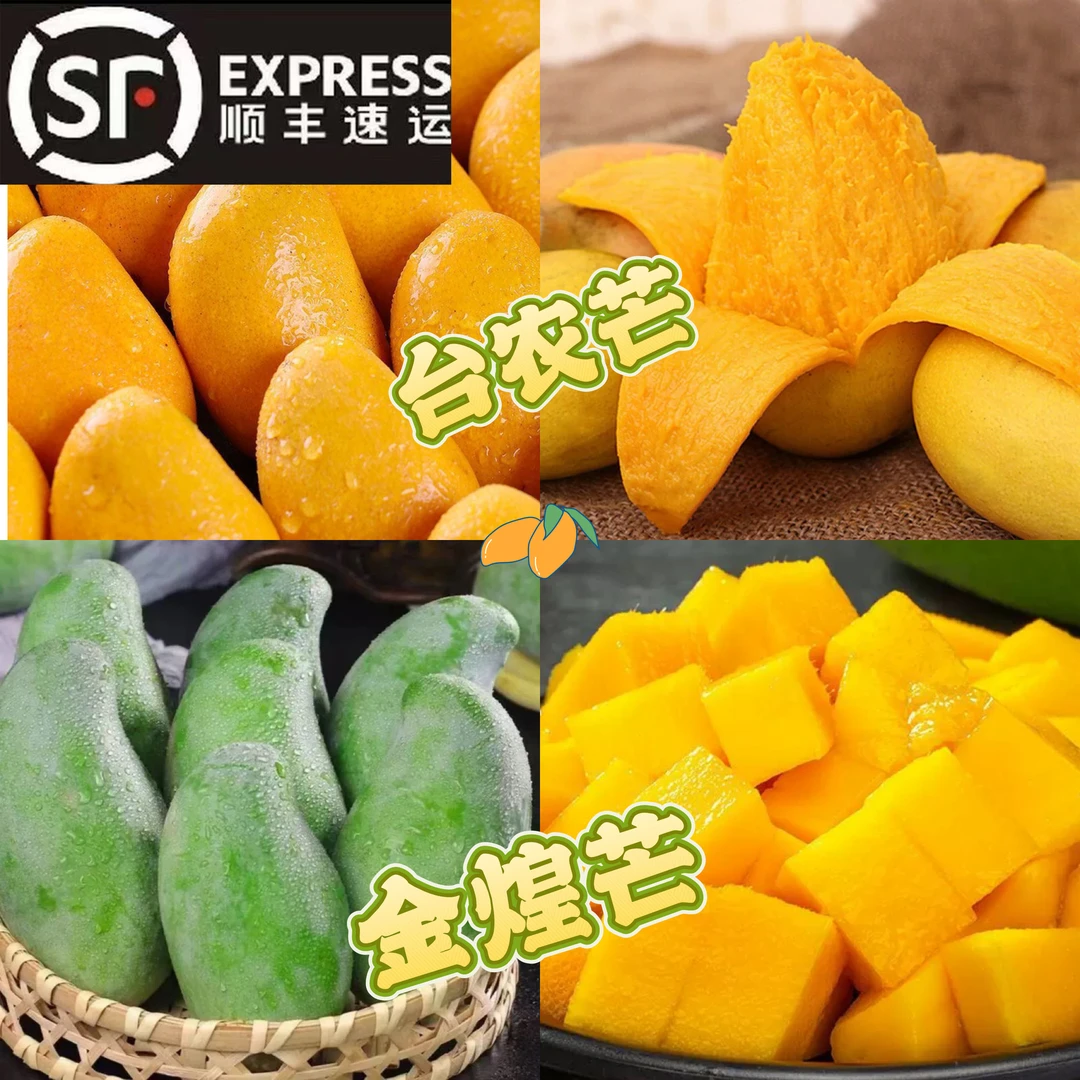 【顺丰发货】百色精品芒果组合装台农芒金煌芒当季新鲜水果新鲜采摘