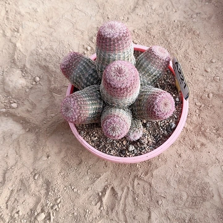 秋***人哈哈哈哈哈哈哈哈哈哈