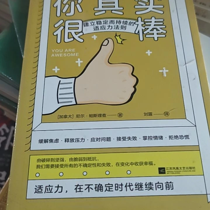 你其实很棒平装库存书