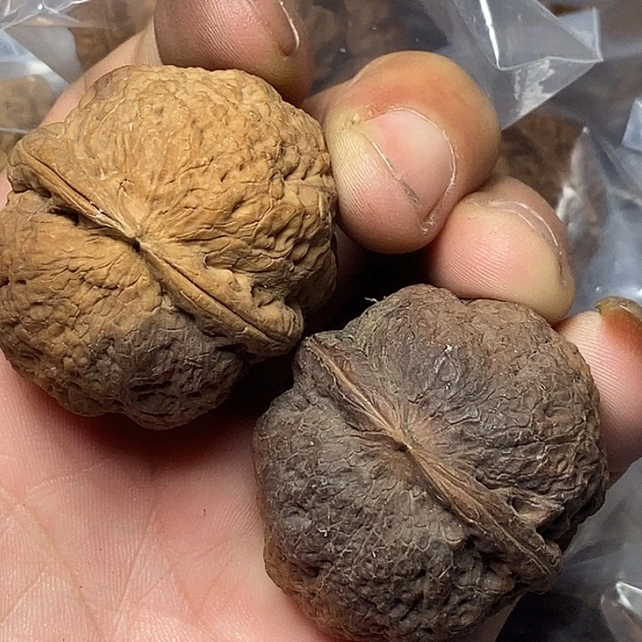 文玩核桃把件云南铁核桃110