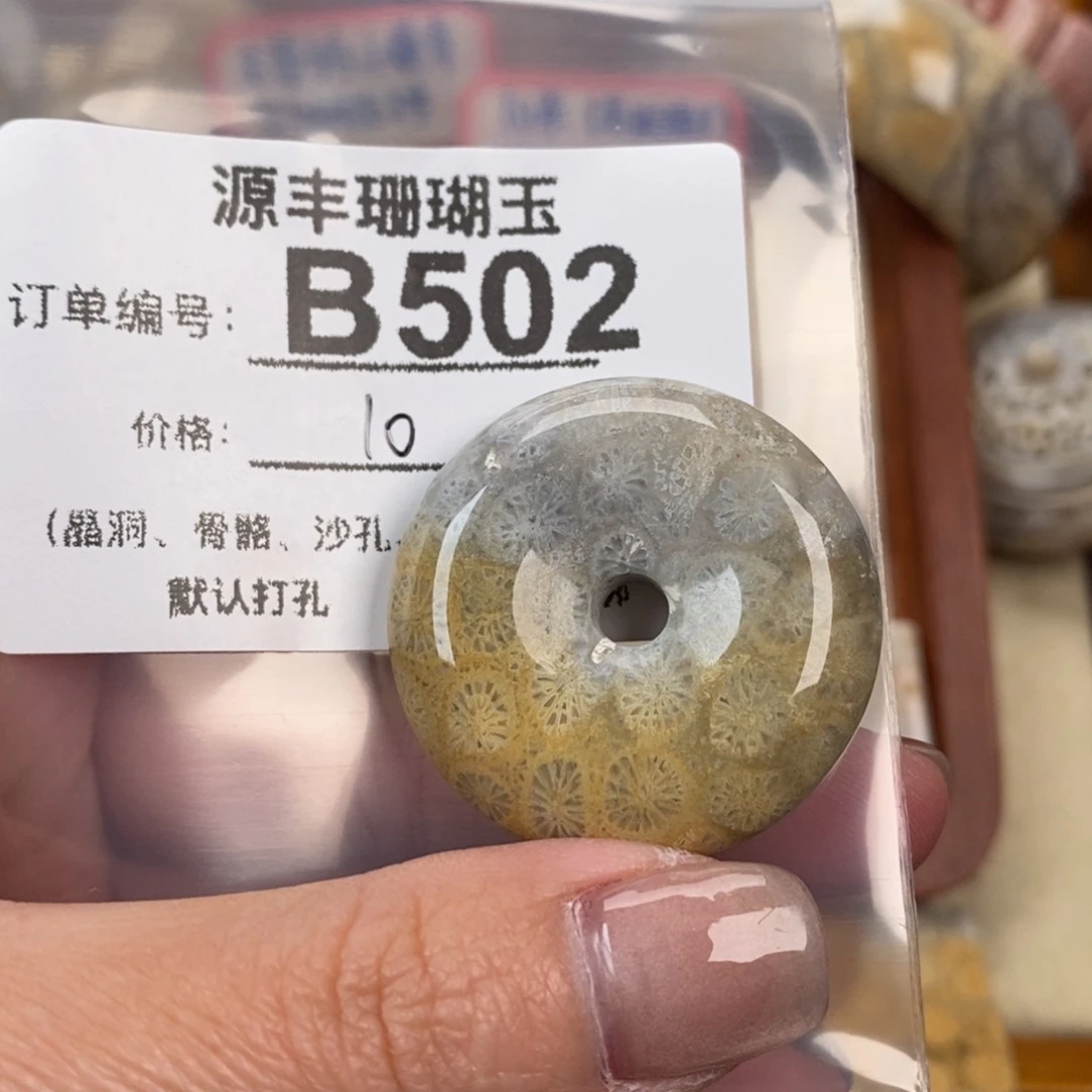 硅化玉颈饰未镶嵌A*o