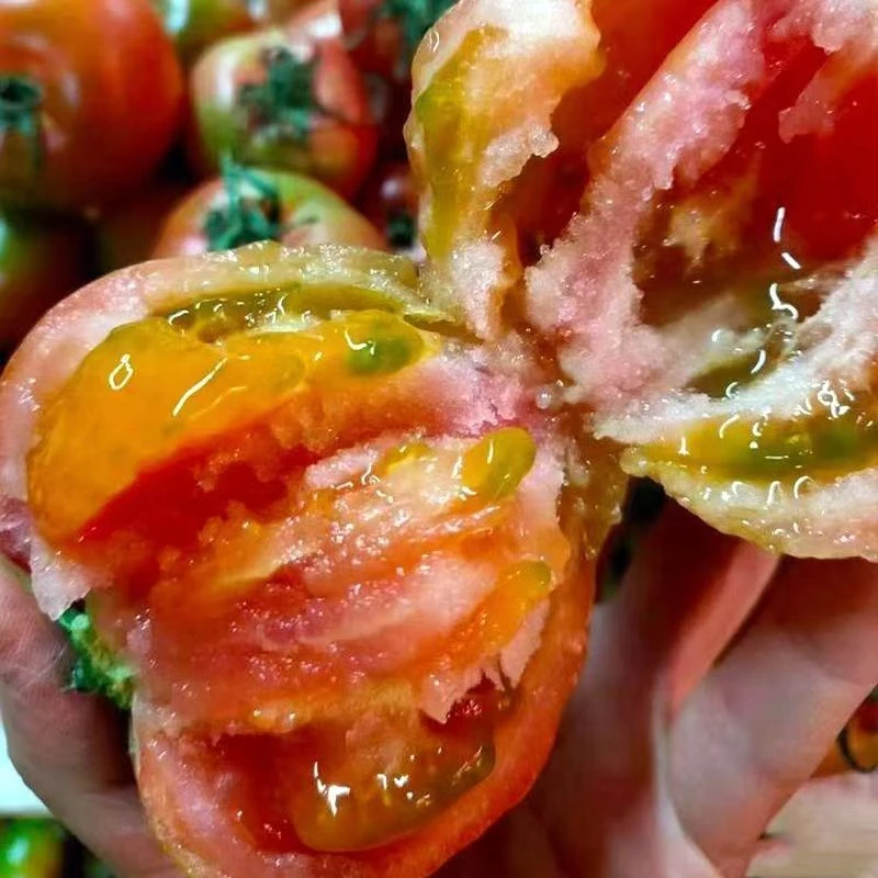 天津本地西红柿口感西红柿甜度高自然成熟沙瓤炒菜做汤番茄