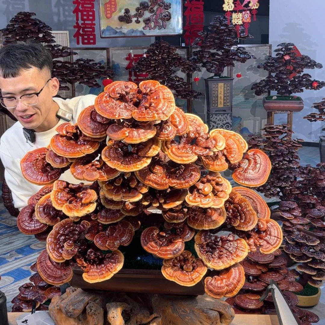 【闪购商品】88888