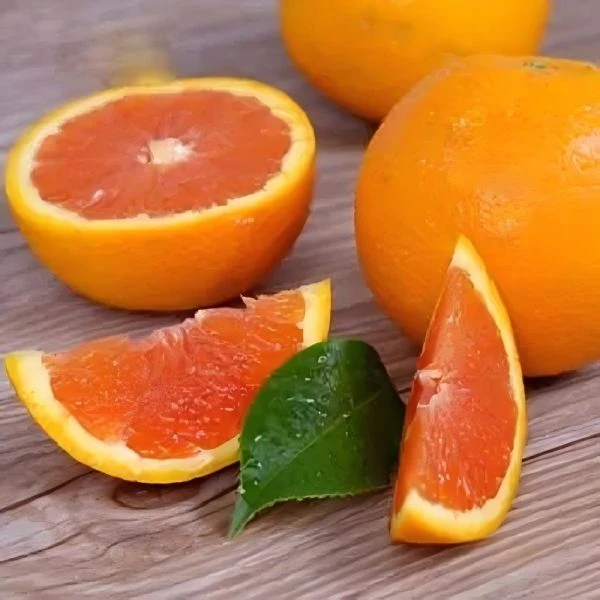 美国血橙   12只