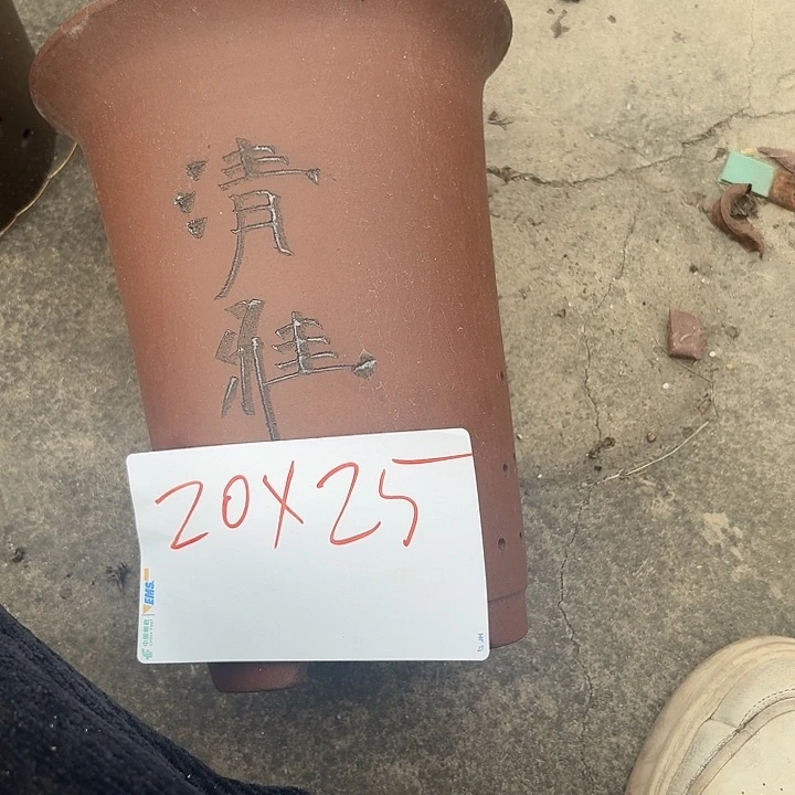 花盆紫砂11111111111