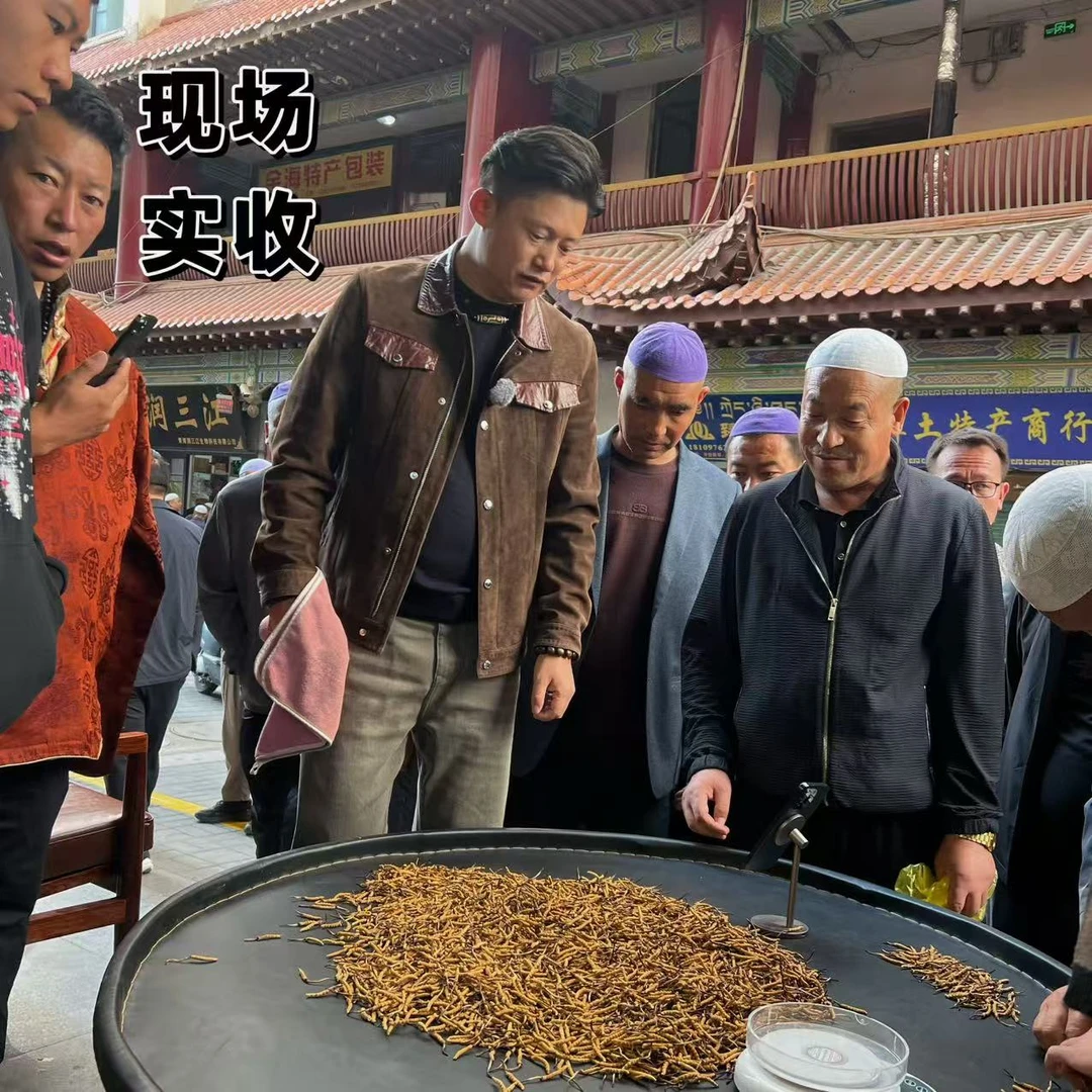 【冬虫夏草】口粮草 现场实收 自然晒干 品质滋补实拍图