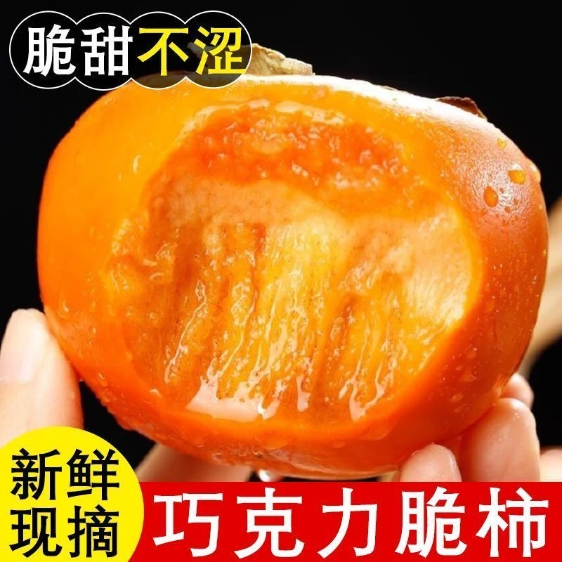 正宗阳丰脆柿新鲜应季甜柿子巧克力脆柿冰糖心无核硬柿子当季水果