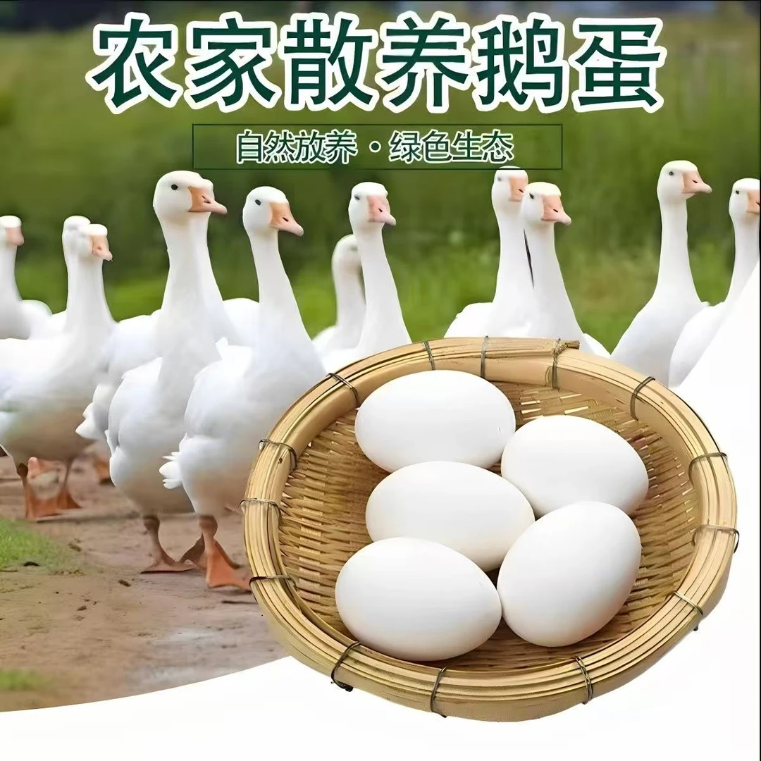 农家散养新鲜大个土鹅蛋现捡现发孕妇健康营养食品