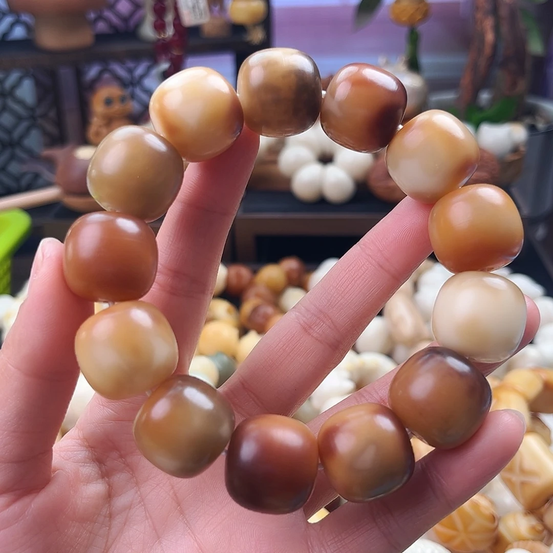 手串菩提根/象牙果-高品菩提-落地果老料飘花干磨