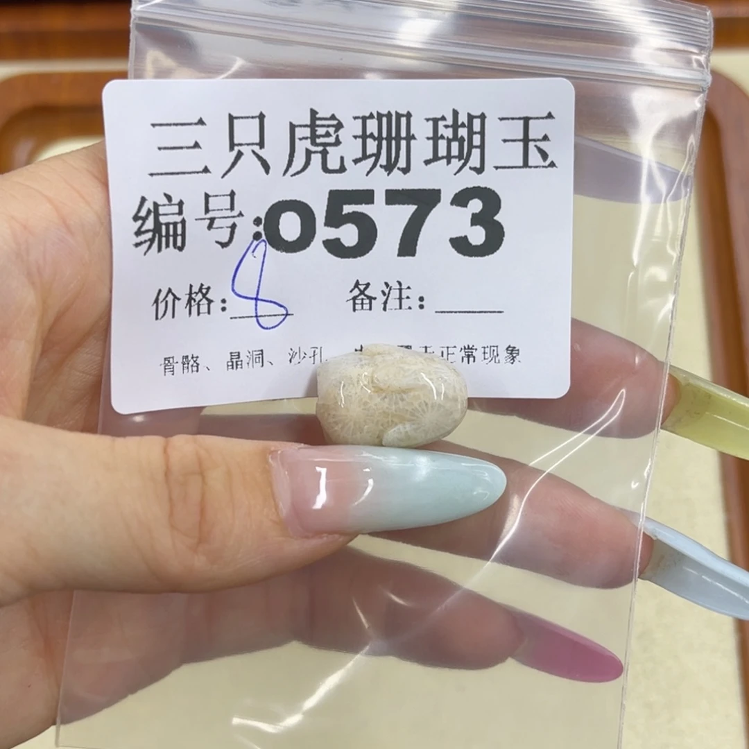 小***8硅化珊瑚（珊瑚玉）h未镶嵌