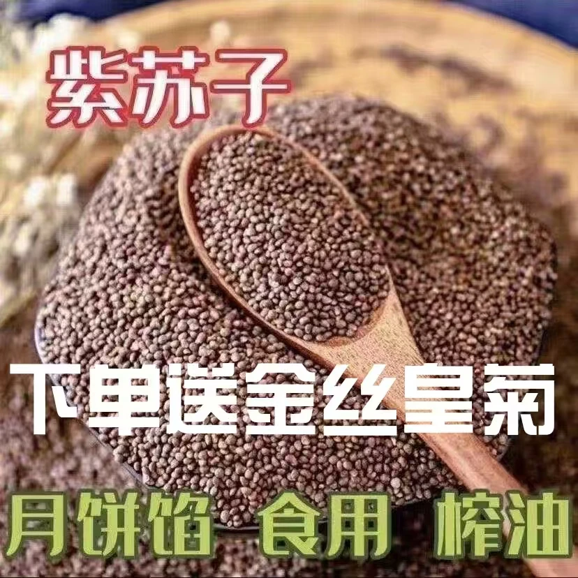 紫苏子中药材野生紫苏子籽可榨紫苏子籽油可食用新货代磨紫苏粉