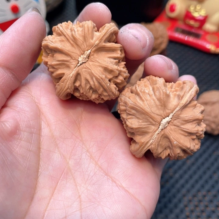 文玩核桃把件热***_白狮子3.9全品