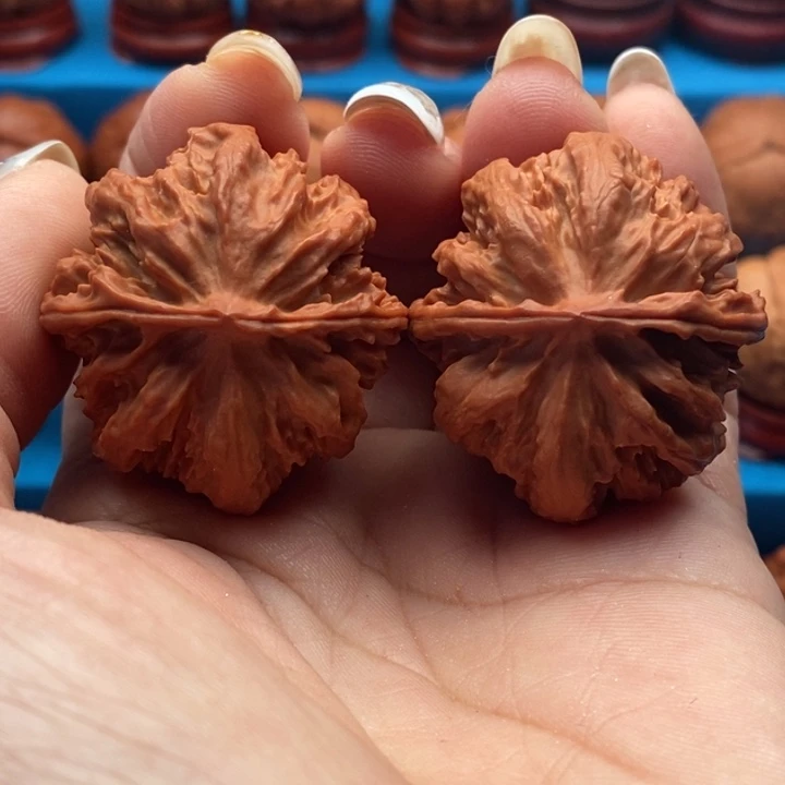 核桃精品文玩核桃手捻粗筋王