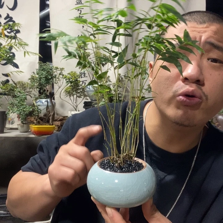 小***运无花朵退款拉黑拉黑 101