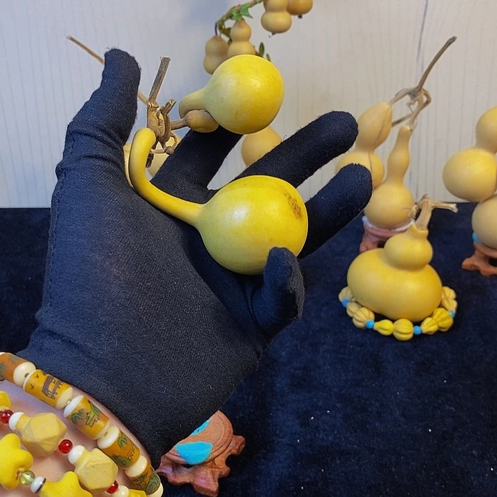 ***哈哈哈哈哈哈哈哈哈哈