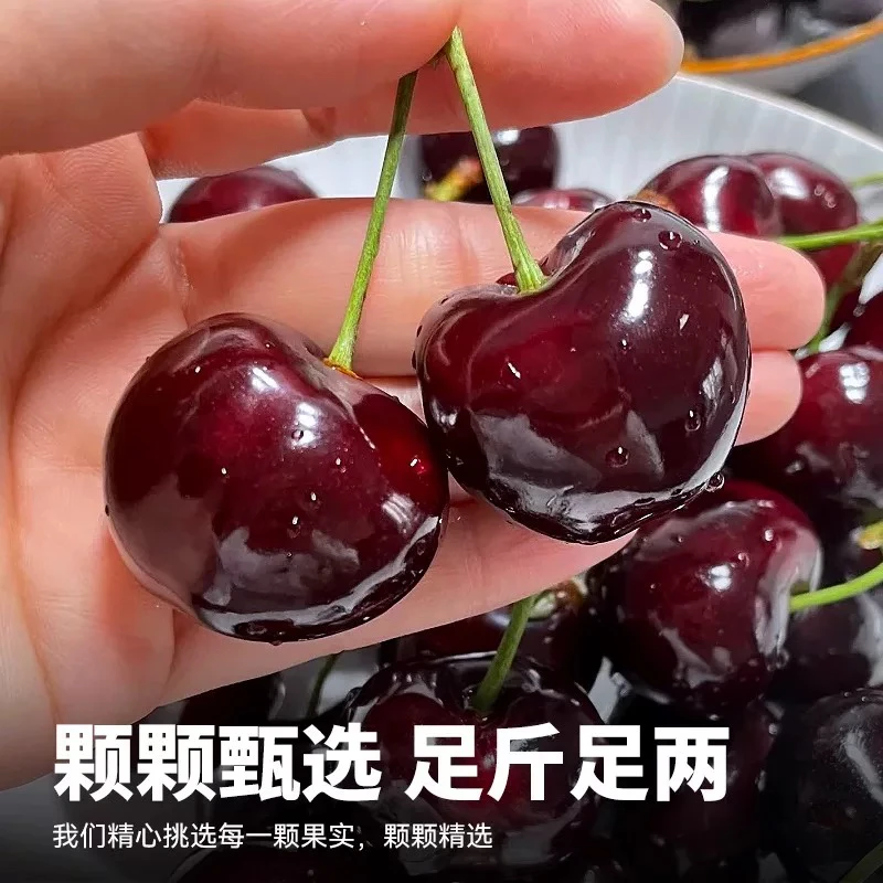 Q5【当天发】 4J智利进口拉宾斯车厘子脆甜多汁果味浓郁宝妈儿童当季热卖高端水果2J-4J原箱5斤