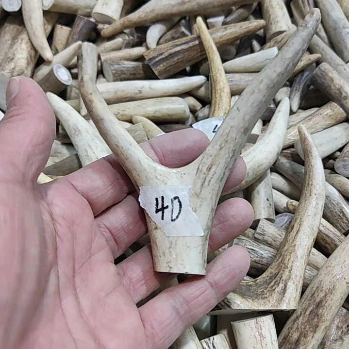 不锈钢鹿角尖鹿角尖