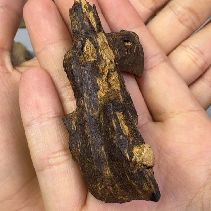 伟业香堂越南九分沉虫漏7克