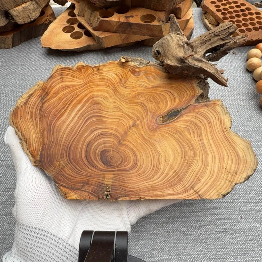 柏木（崖柏）太行崖柏龙 造型板子