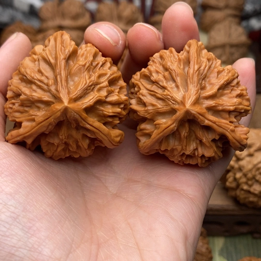 文玩核桃把件282号44:5三棱