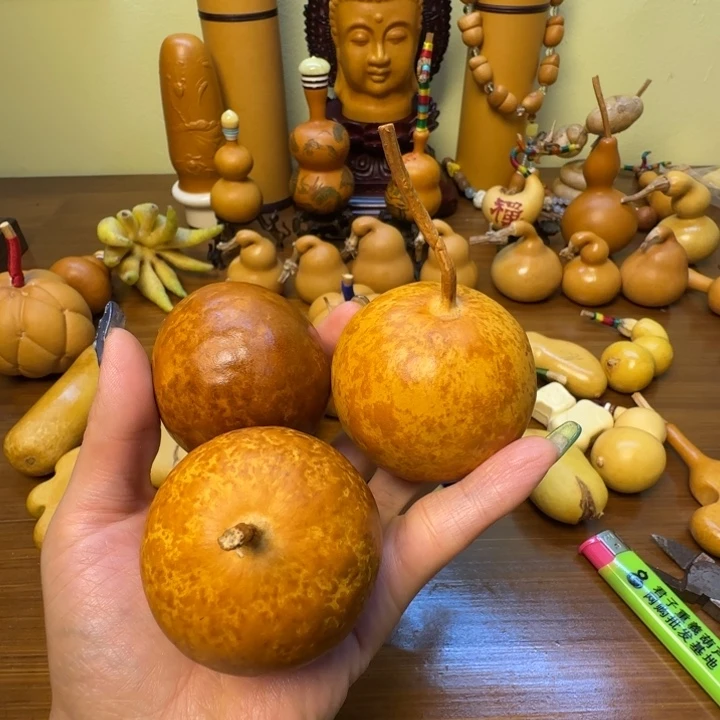 解***药哈哈哈哈哈哈哈哈哈哈