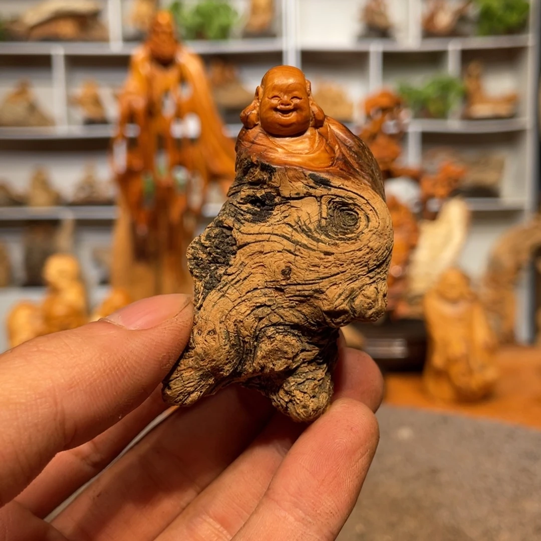 ****狼柏木（崖柏）5566666555566
