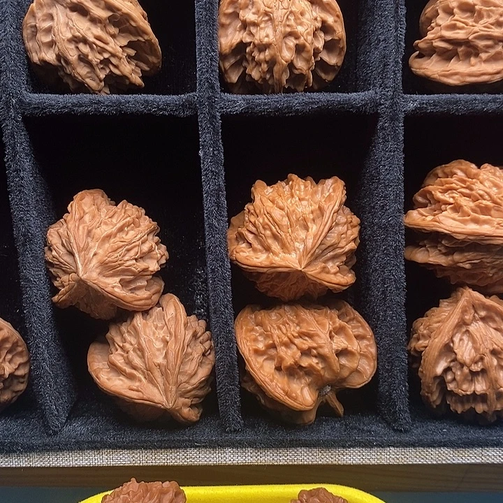 无花朵三棱哈哈哈哈哈哈哈哈哈哈