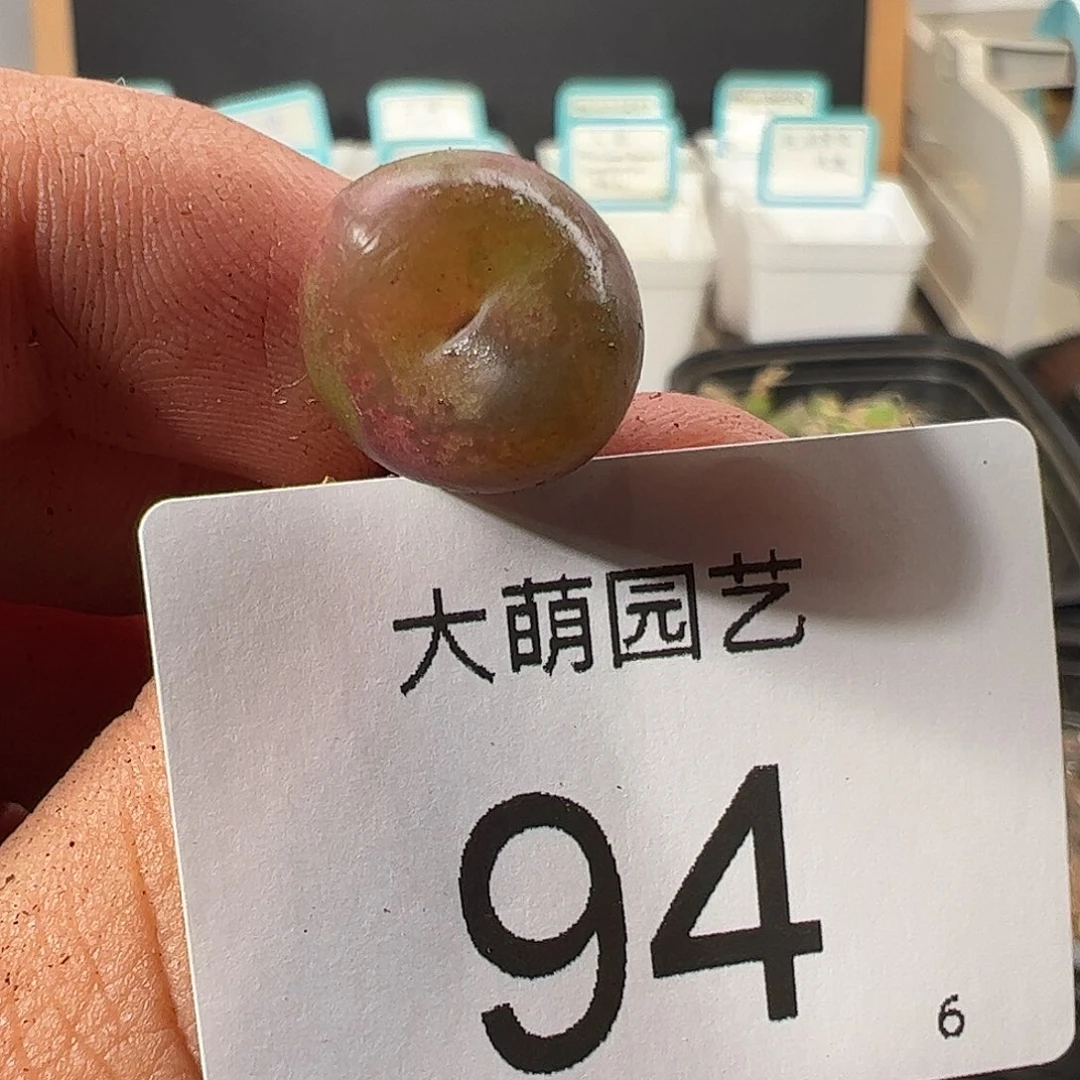 000094 一物一拍……