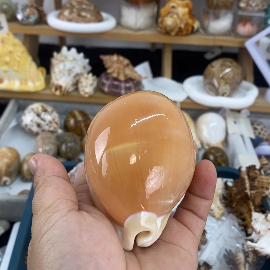 宝宝宝宝宝宝宝宝可爱宝宝