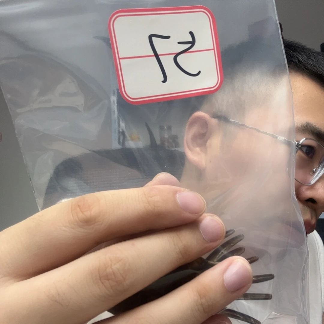 橄榄核手串/手链工艺品57