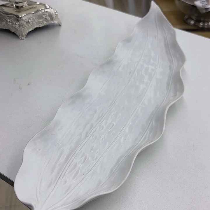 瓷片样品样品两个