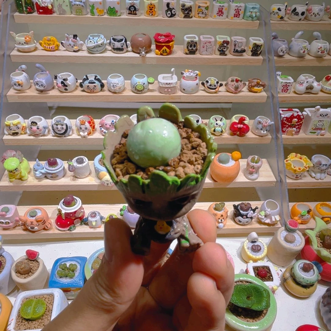 019鸽子蛋带盆土一套19