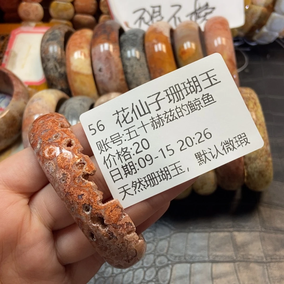 五***鱼未镶嵌硅化珊瑚（珊瑚玉）珠宝半成品56