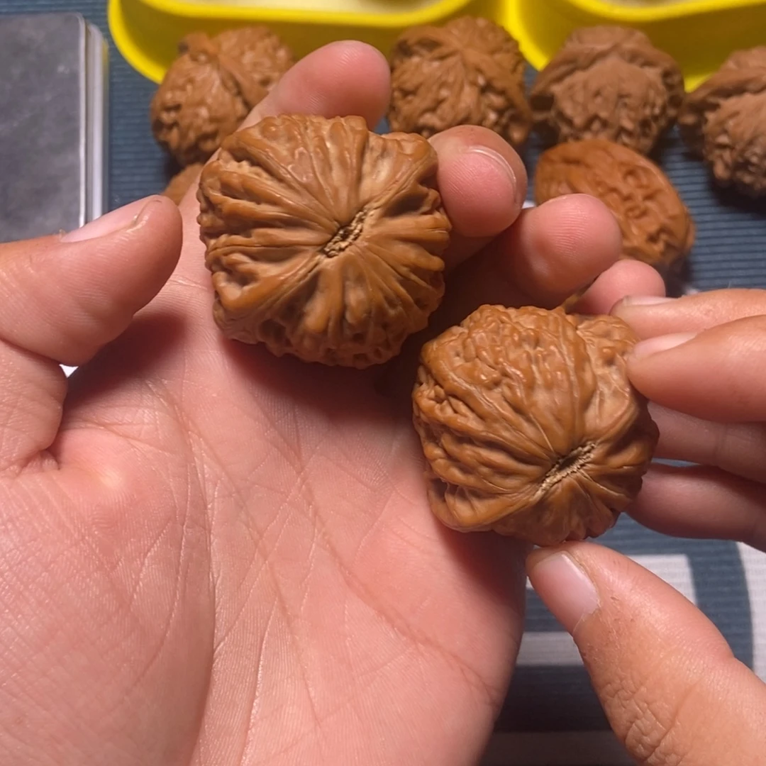 ****！41尺全品铁锤白茬