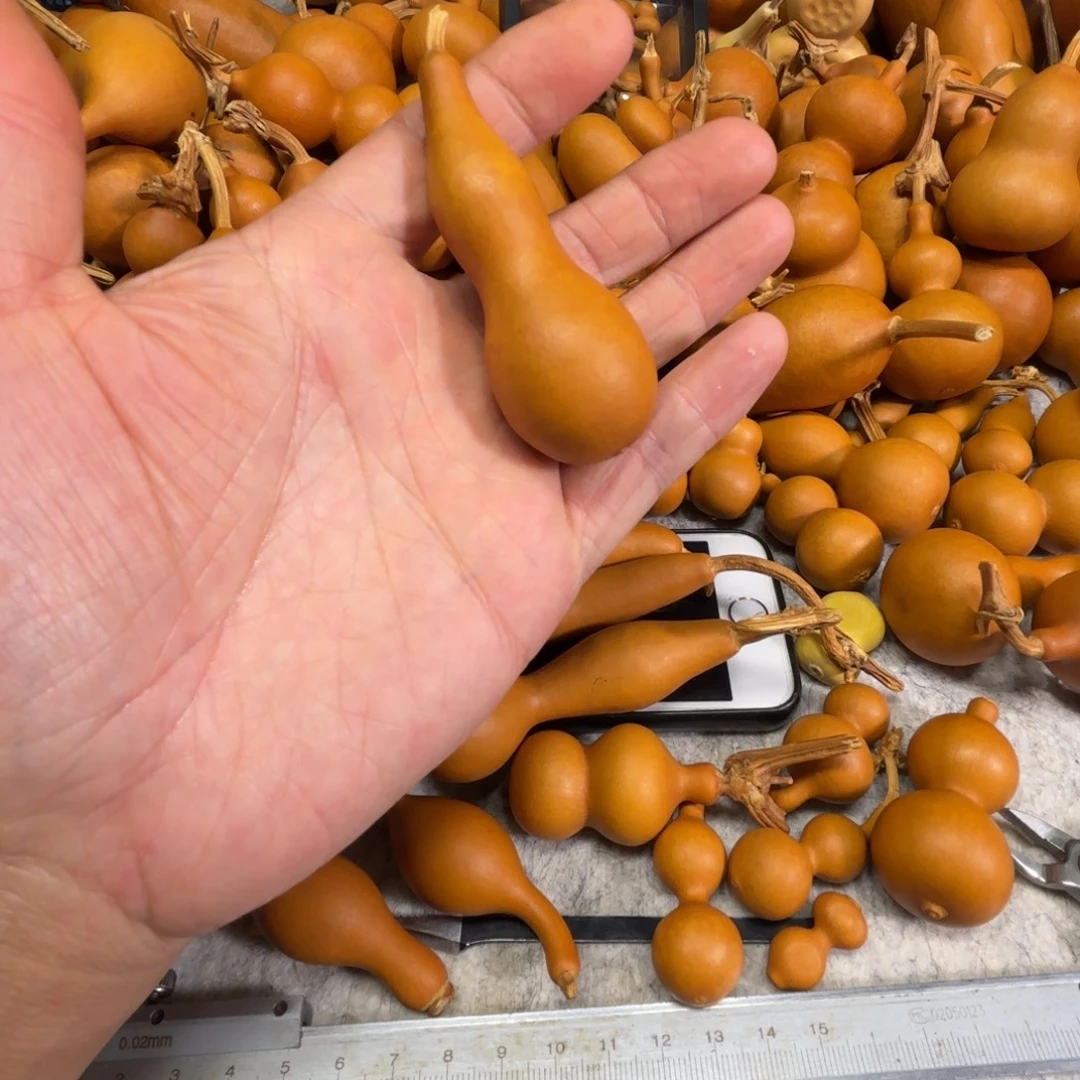 蓝***予兰屿的一把一把异形葫芦