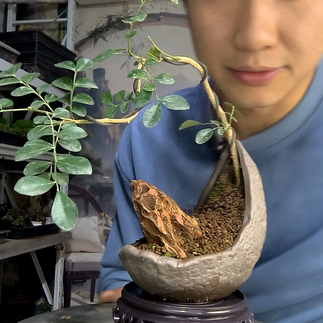 S****️中青园艺一物一拍100
