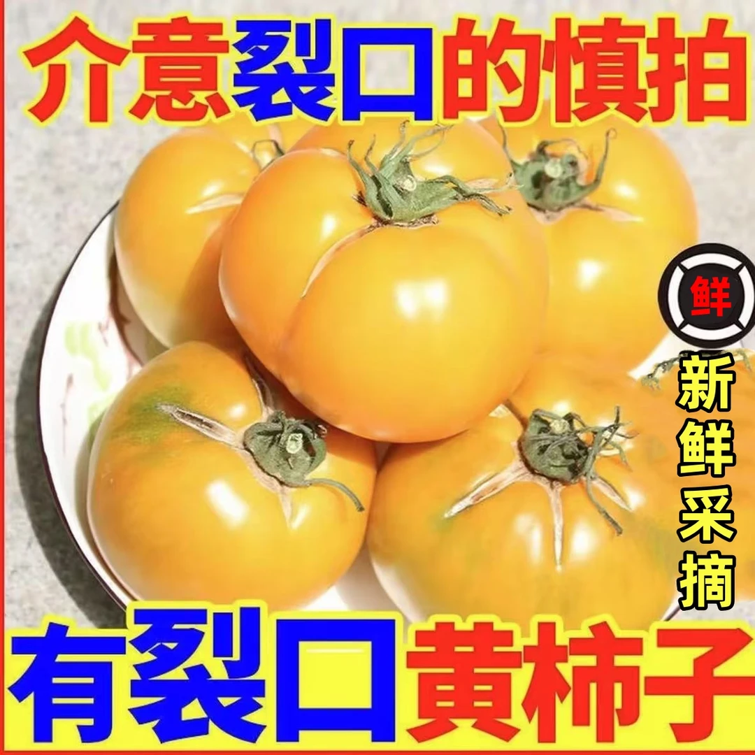 宁夏黄柿子自然熟裂口黄色西红柿新鲜应季水果蔬菜沙瓤可生吃酸甜