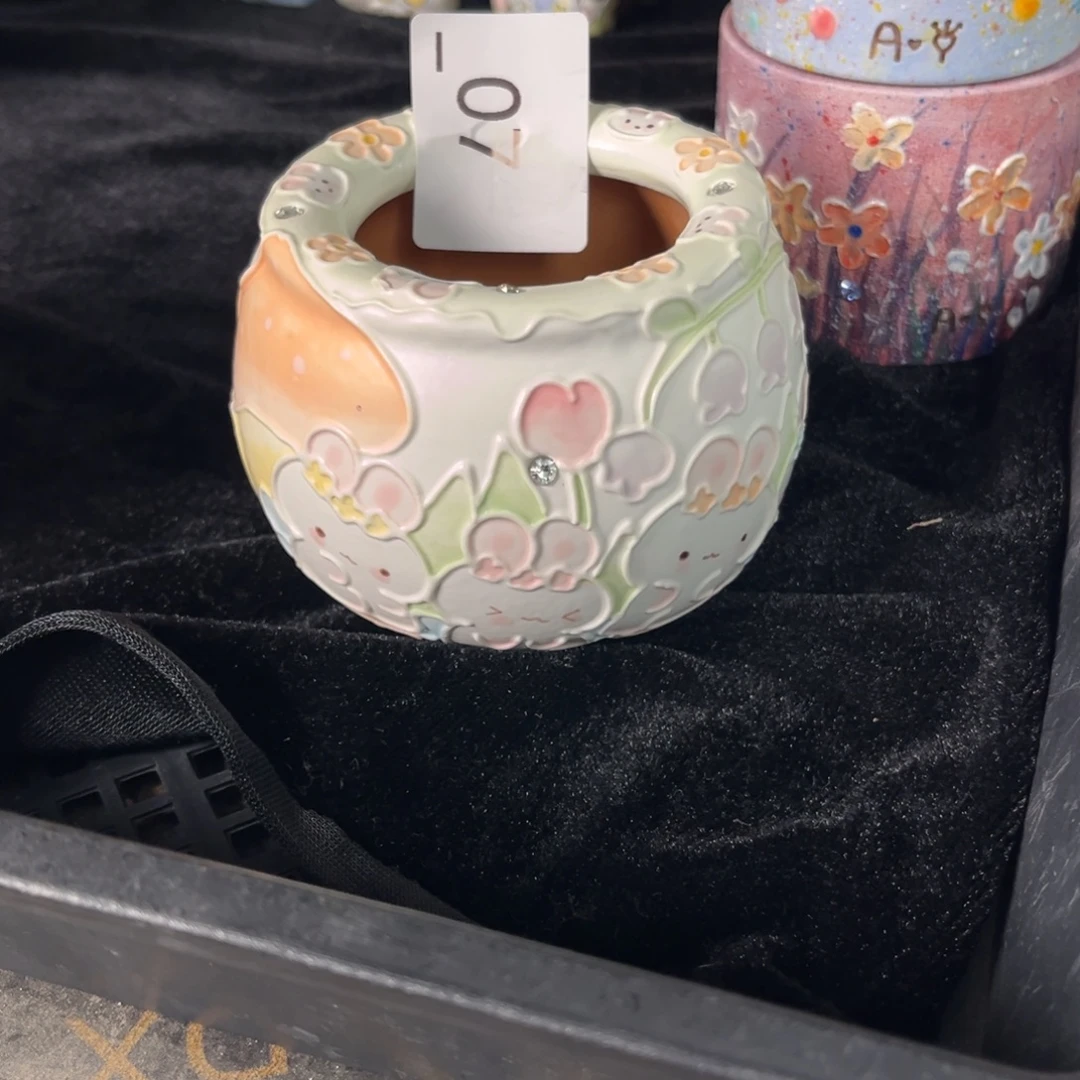 *****07多肉花盆48元1个