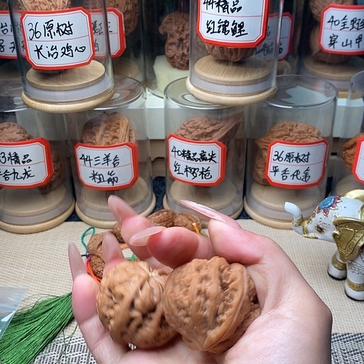 看***着把件文玩核桃粗筋219