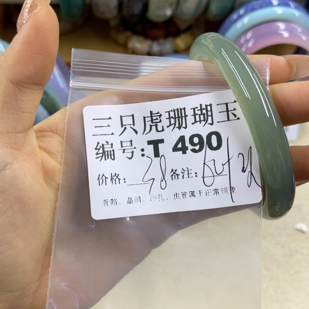 火***果硅化珊瑚（珊瑚玉）未镶嵌h