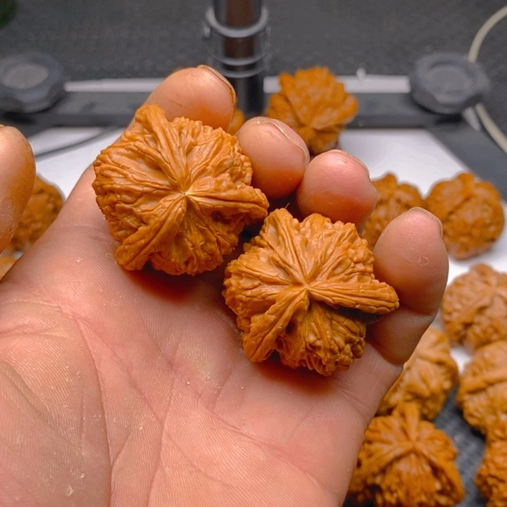 核桃把件拼接白狮子3