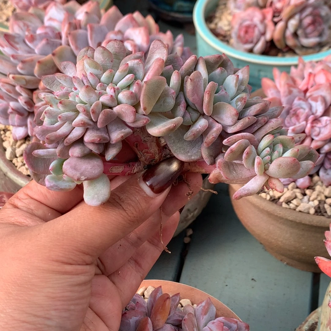 哈哈哈哈哈哈哈49