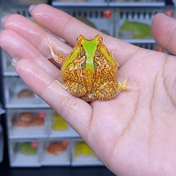 特价秒杀现货特价
