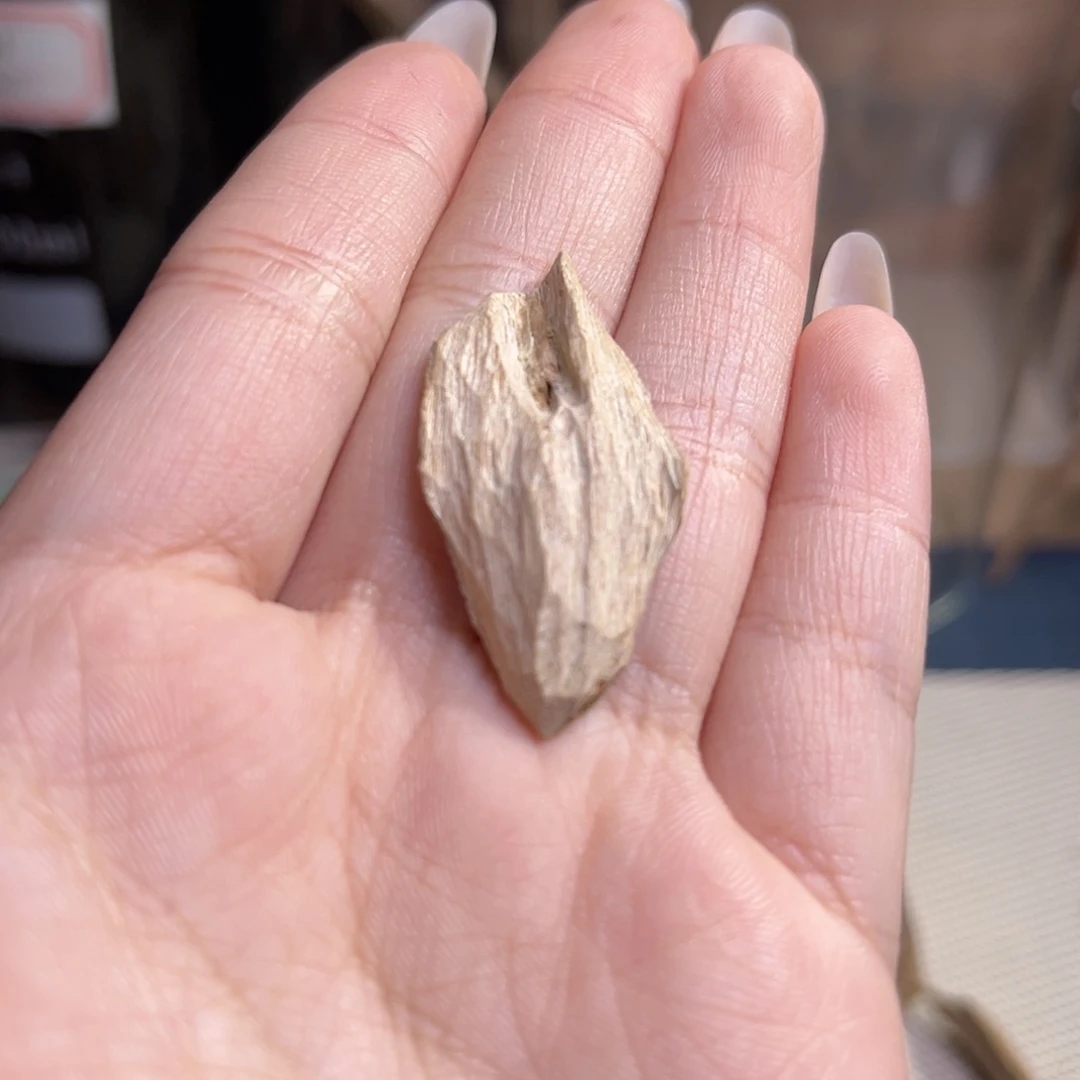 香料广西博白虎斑棋香0.7克