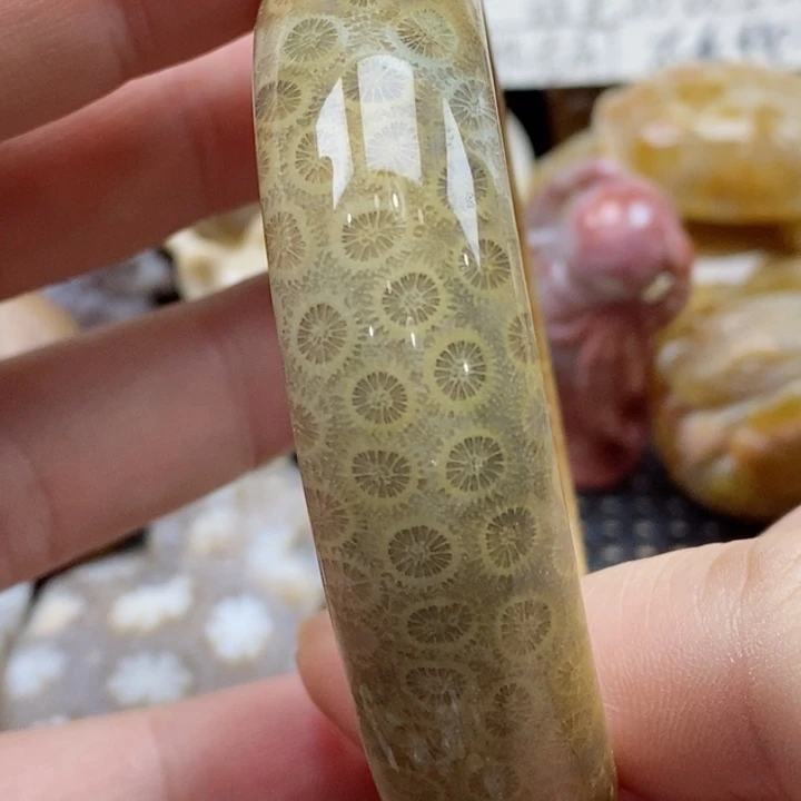 硅化珊瑚（珊瑚玉）颈饰未镶嵌55