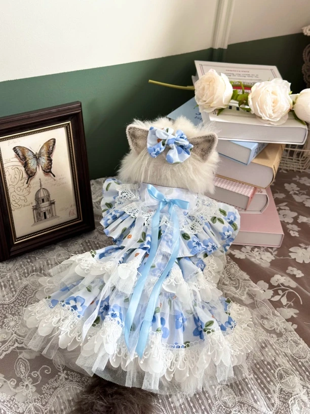 AW宠物衣服春夏新品可牵引裙子蕾丝飞袖比熊泰迪马尔济斯狗狗蛋糕