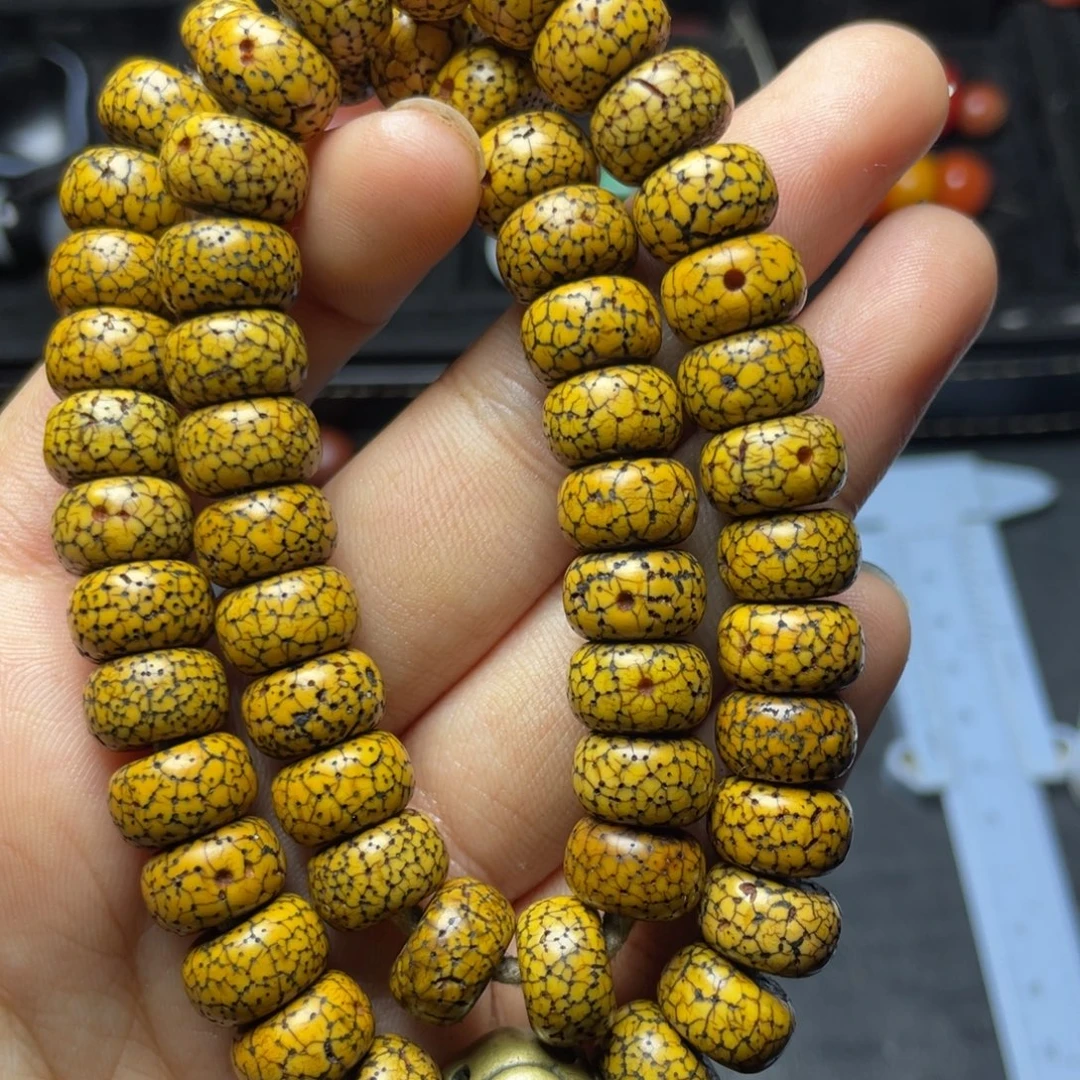 星月菩提哈哈哈哈